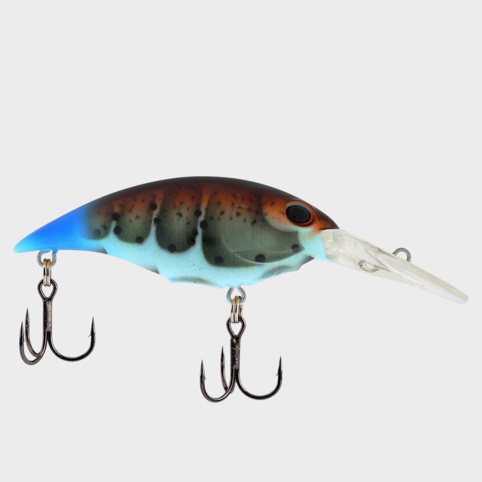 Berkley Berkley Shallow Money Badger