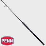 Penn Penn Squadron IV  Boat Spin Rod