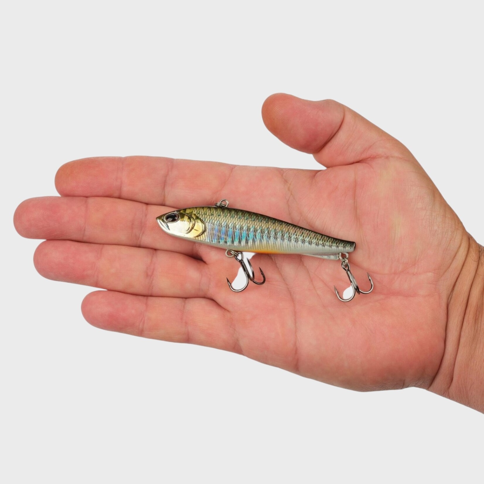 Berkley Berkely Ripfish