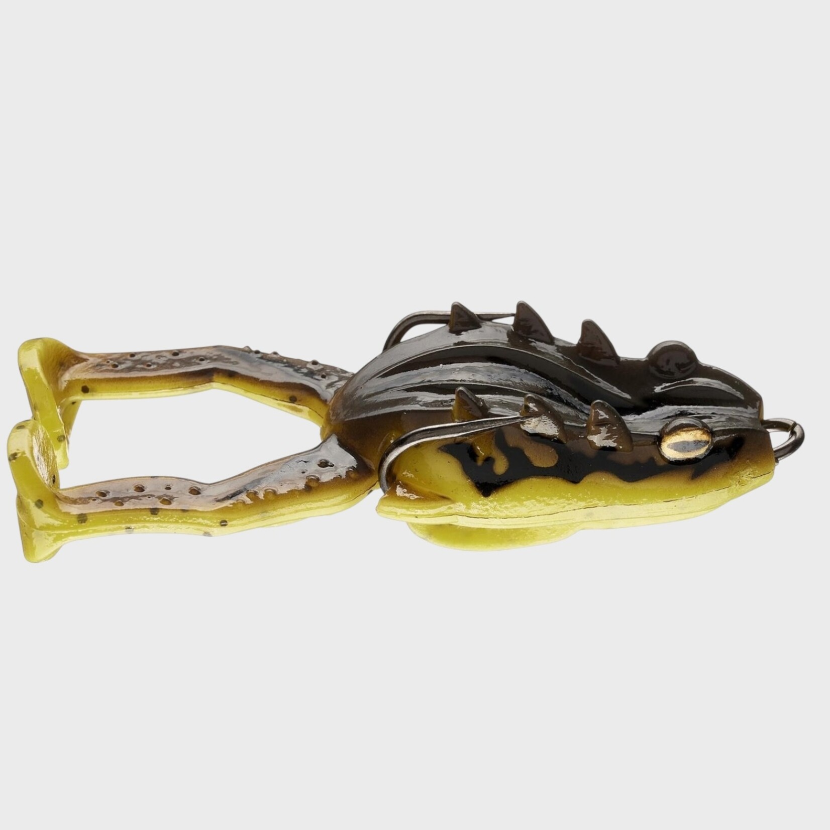 Storm Storm Surge Frog