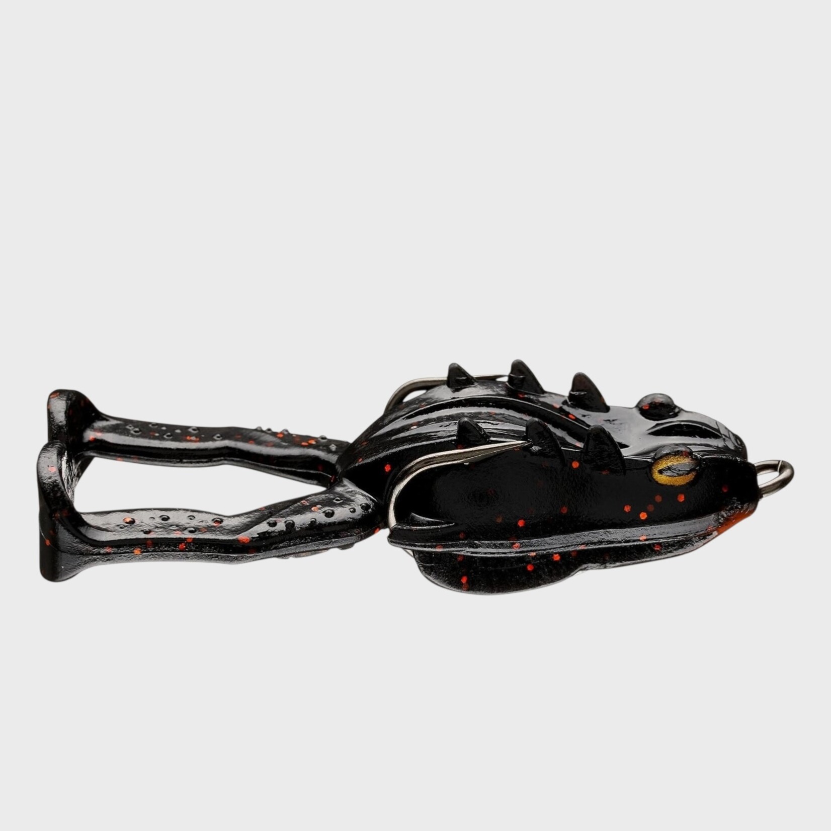 Storm Storm Surge Frog