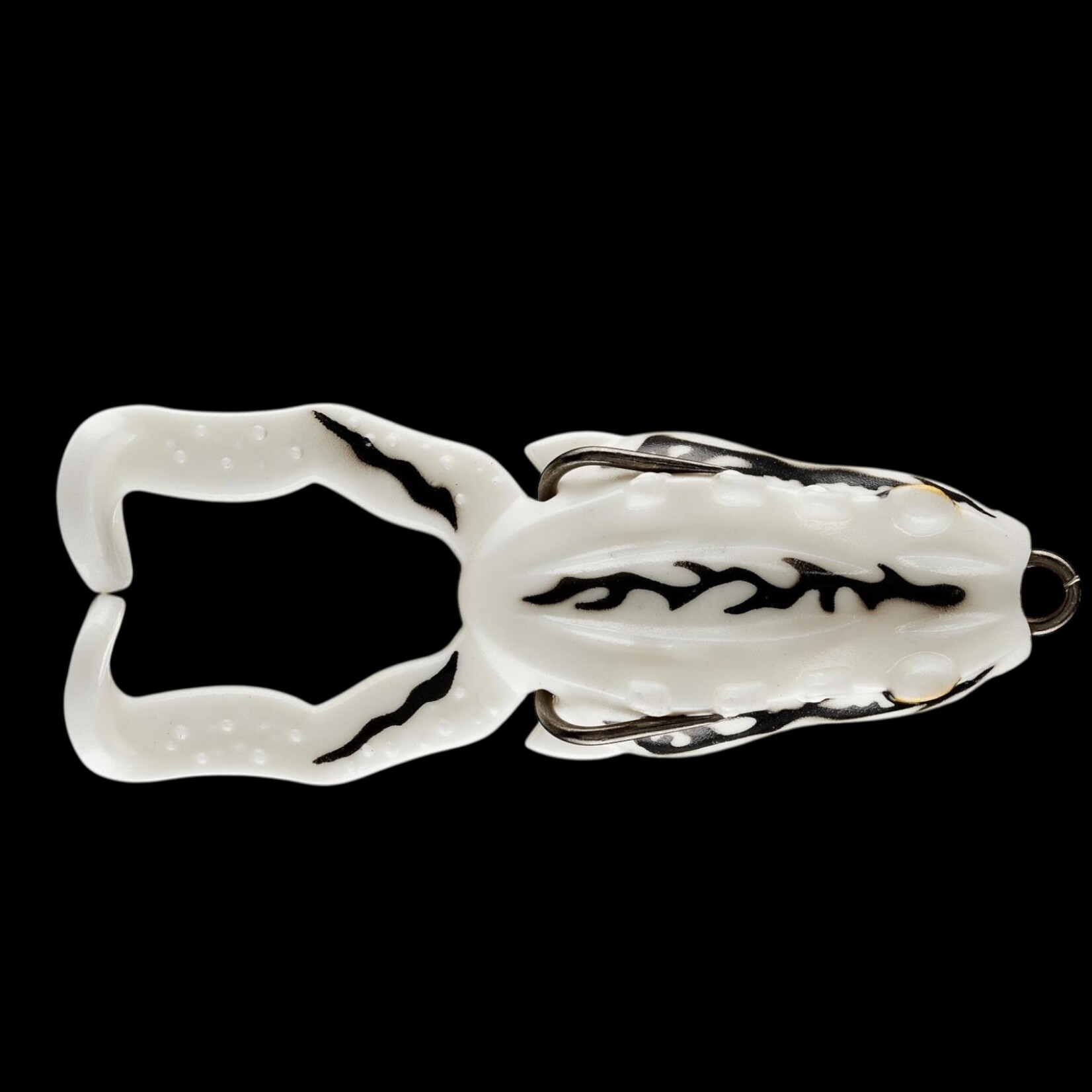 Storm Storm Surge Frog