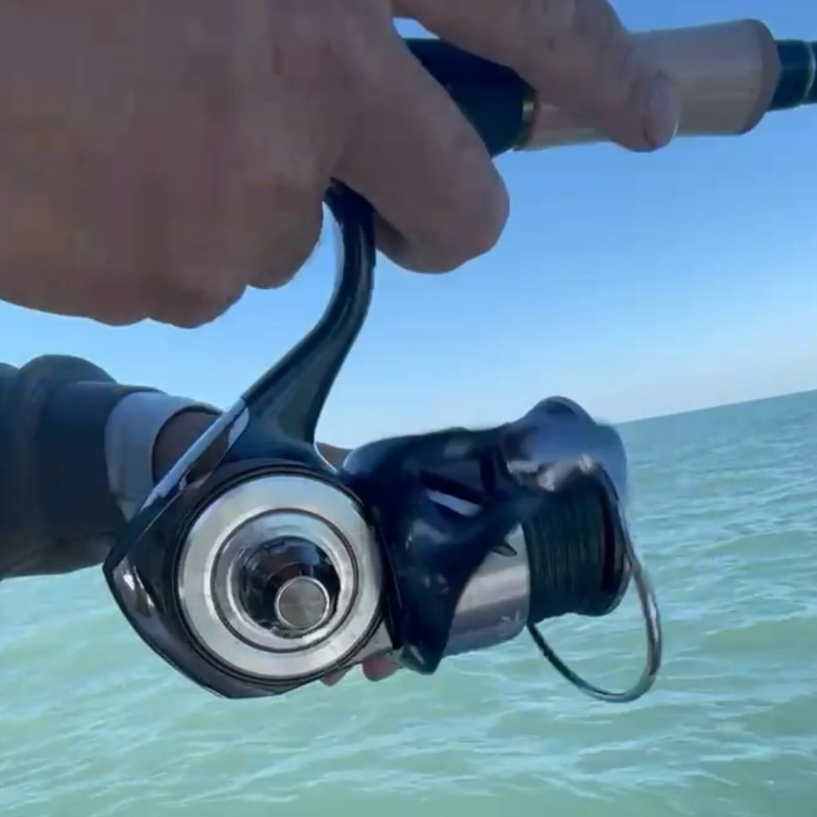 Daiwa Daiwa Certate HD (2026)