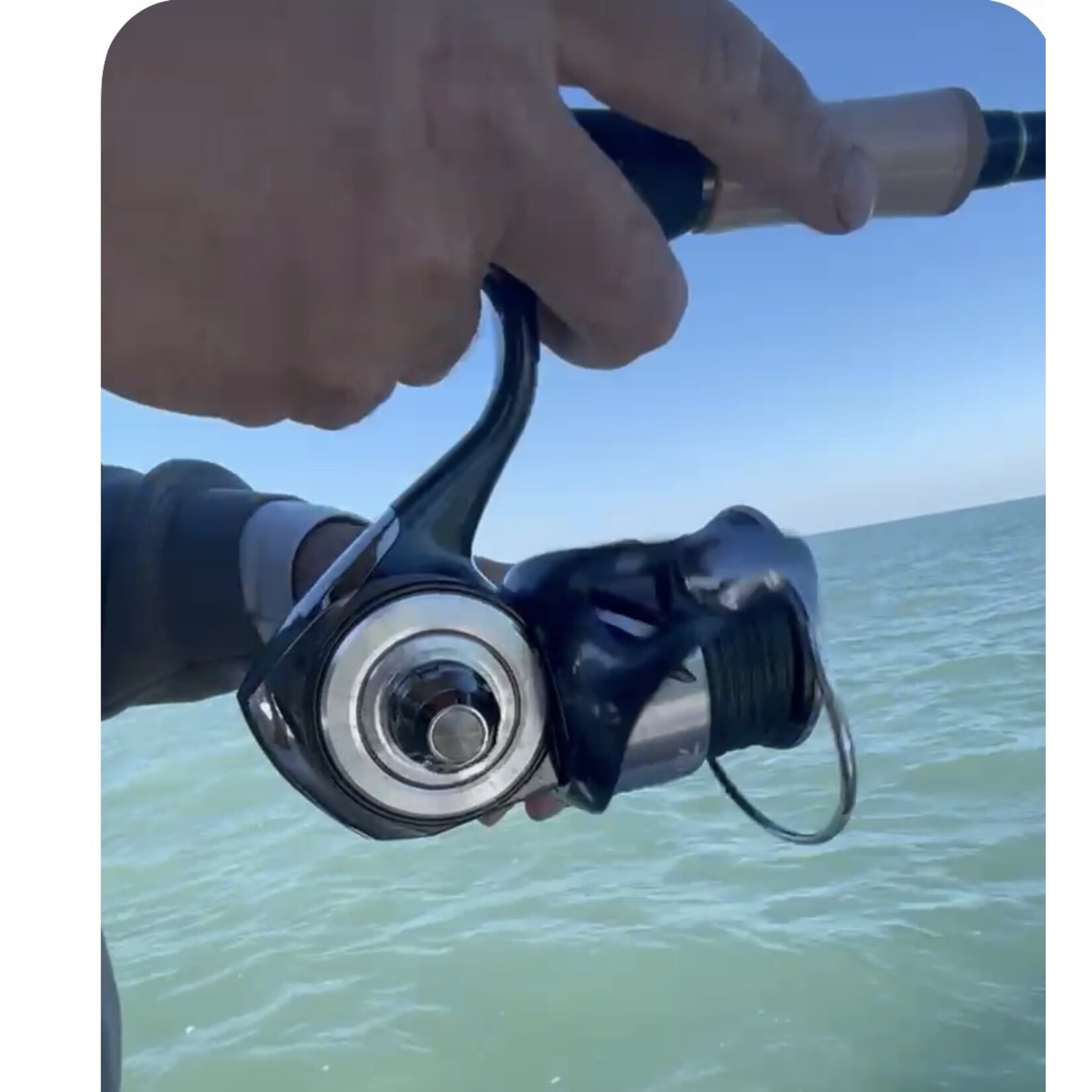 Daiwa Daiwa 2026 Certate 2026