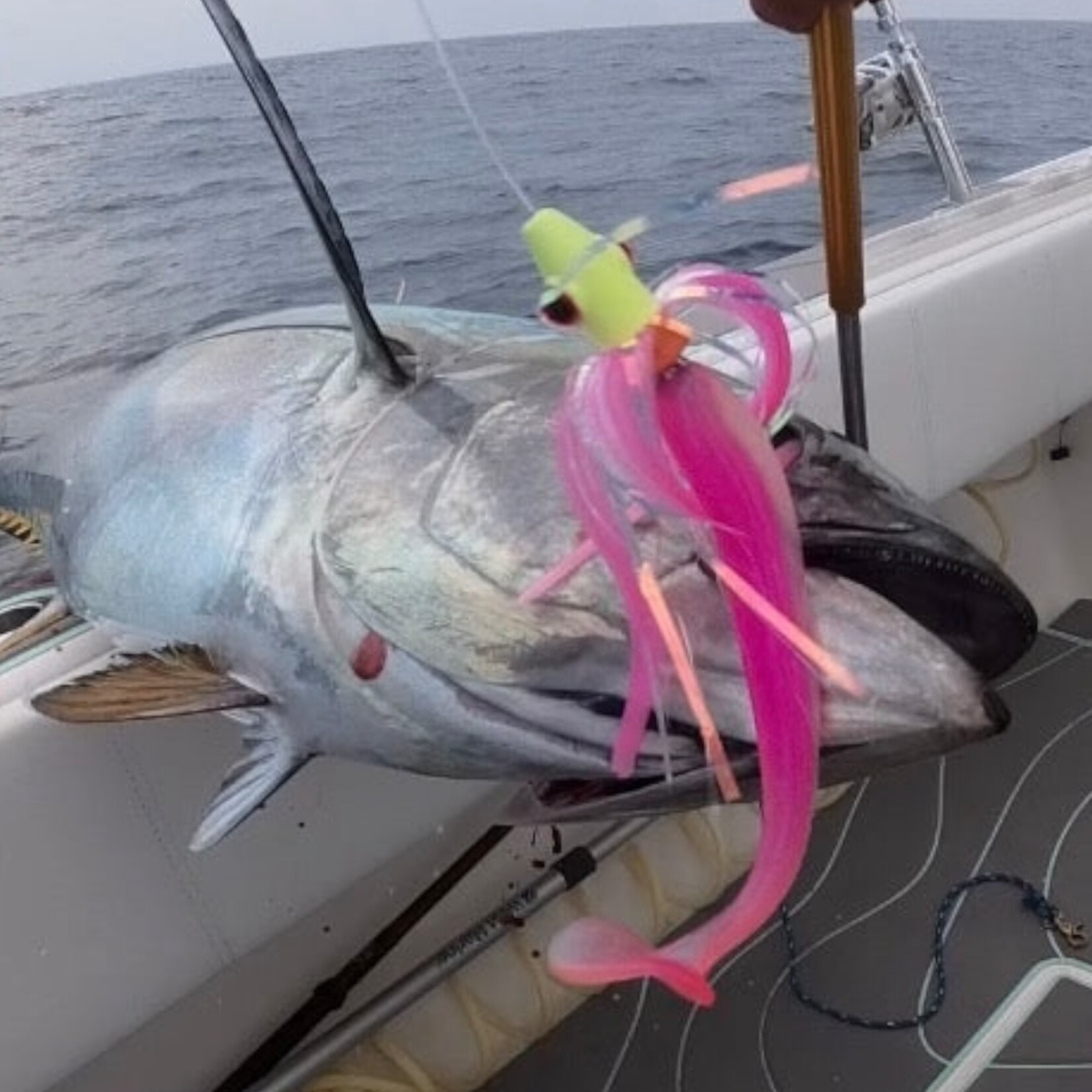 Magic Tail MagicTail HooMagic Shad Rigged