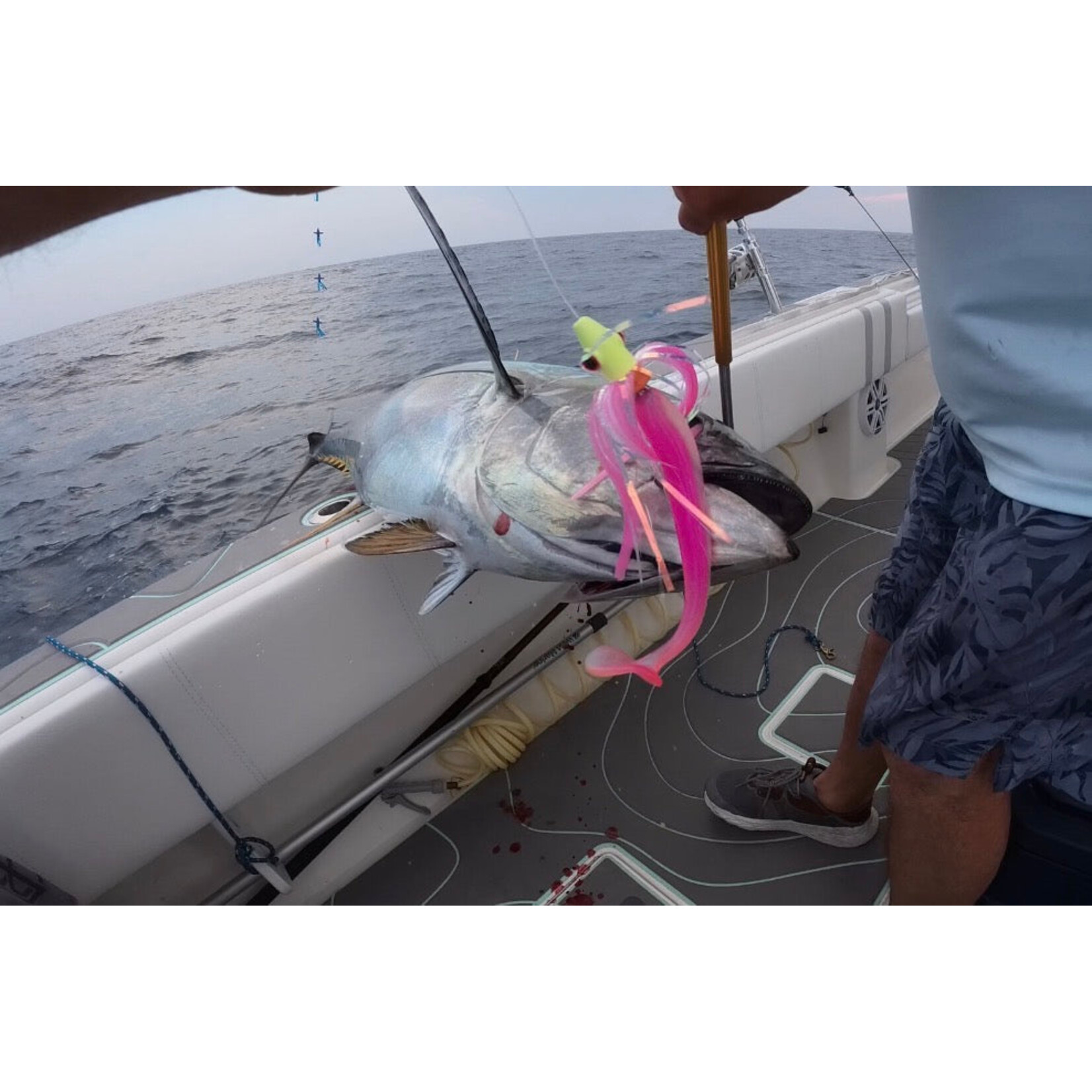 Magic Tail MagicTail HooMagic Shad Rigged