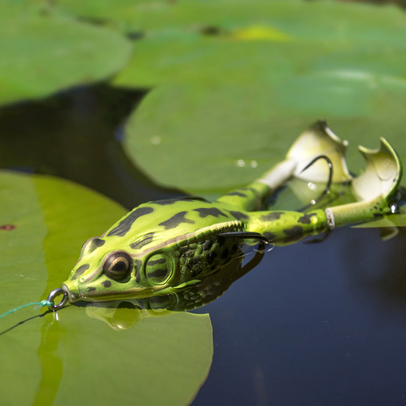 Lunkerhut Lunkerhunt Prop Frog Shad