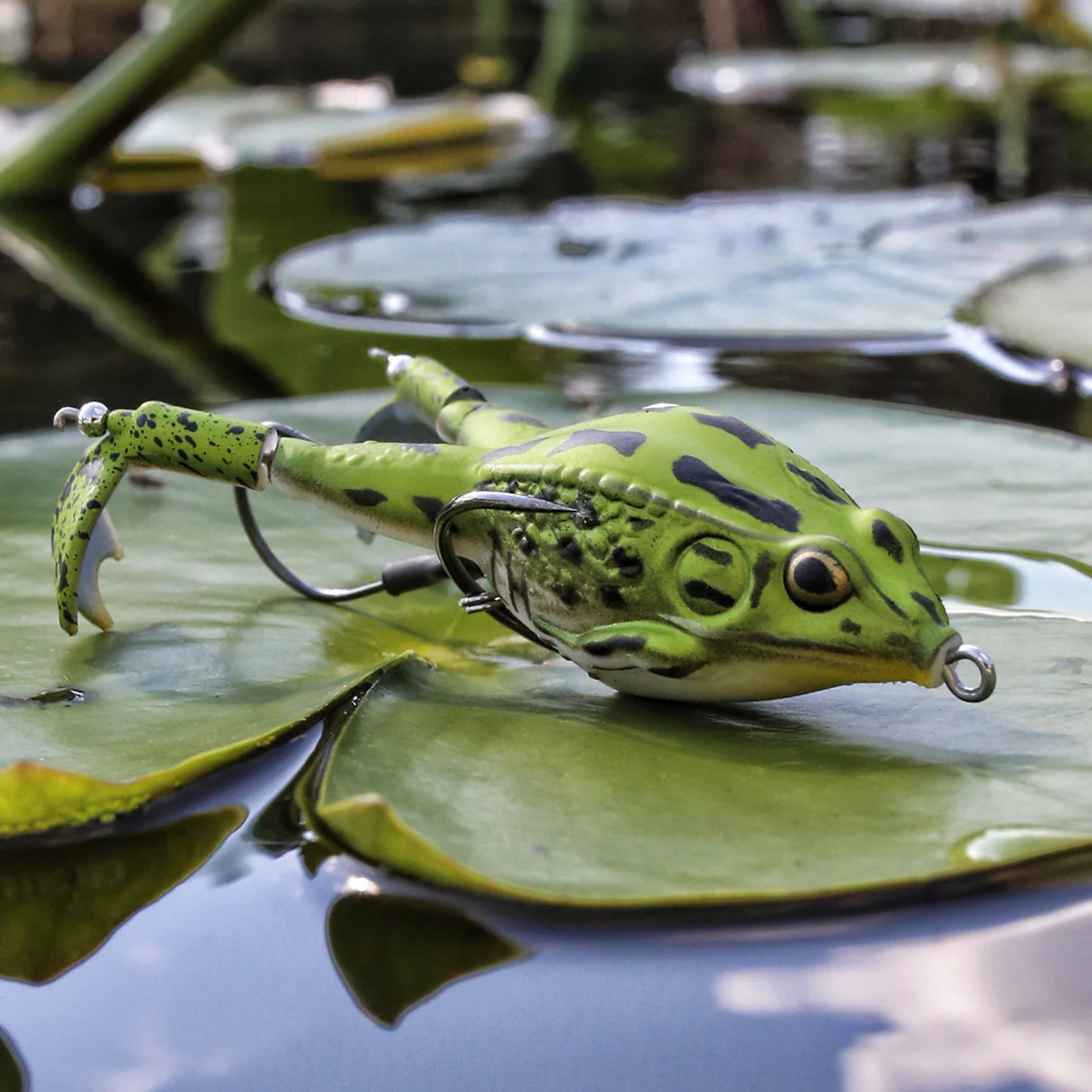 Lunkerhut Lunkerhunt Prop Frog Shad