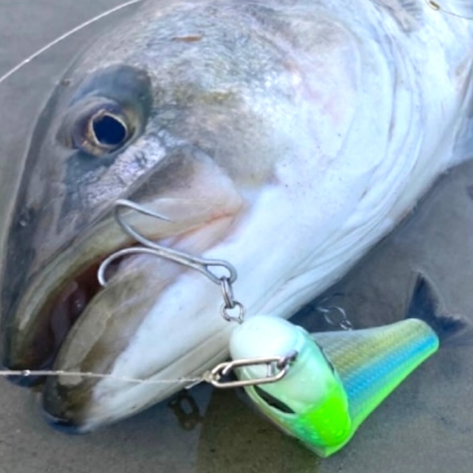 Tactical Anglers Tactical Angler Hybrid Glide