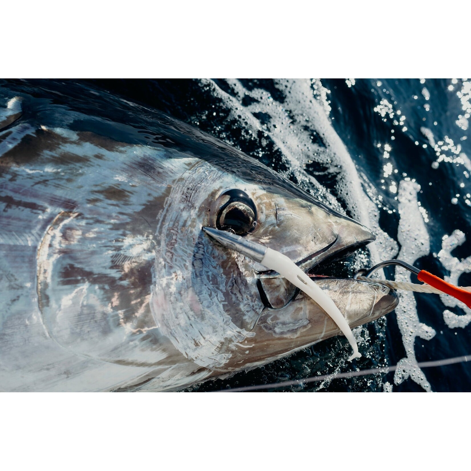 UVT Fishing UVT CHIEF Jig Head