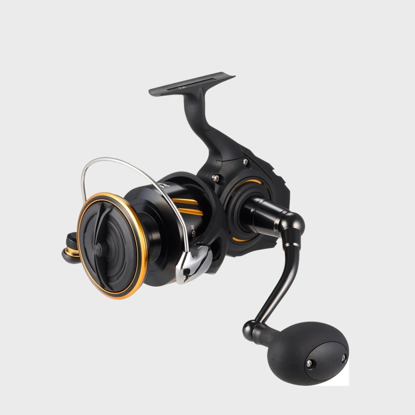 Daiwa Daiwa BG SW Spinning Reel