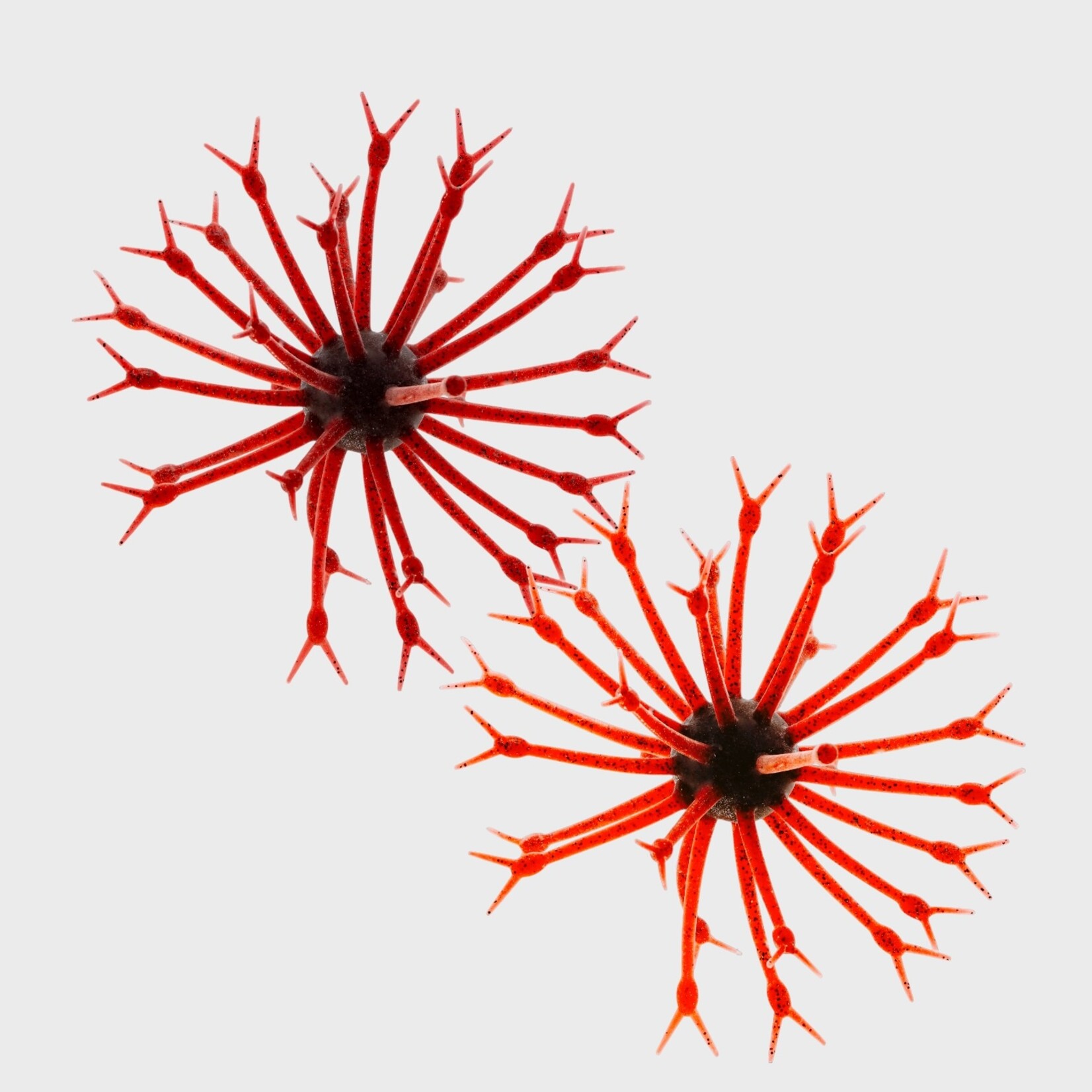 G-Ratt Baits G-Ratt Pop-A-Web Urchin