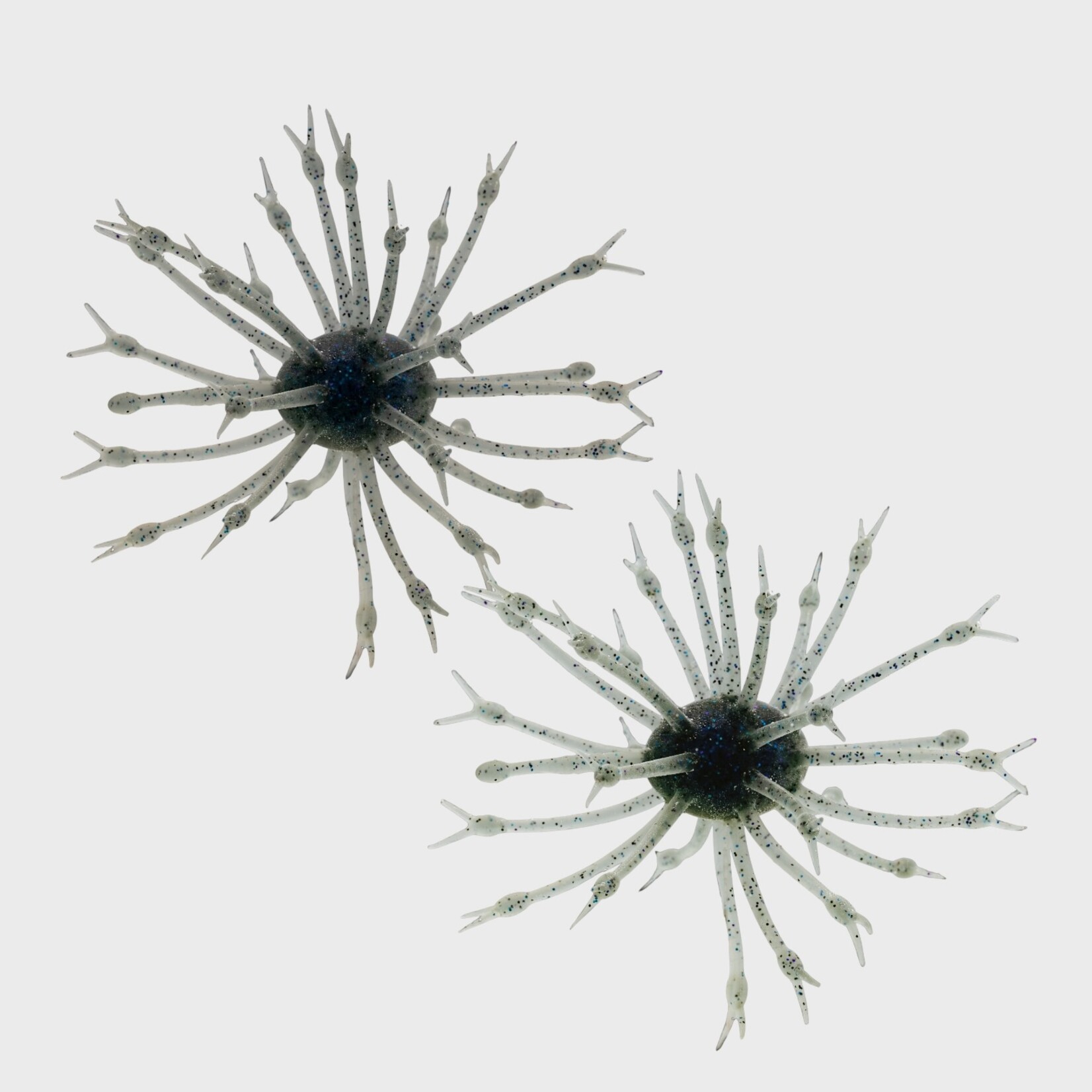 G-Ratt Baits G-Ratt Pop-A-Web Urchin