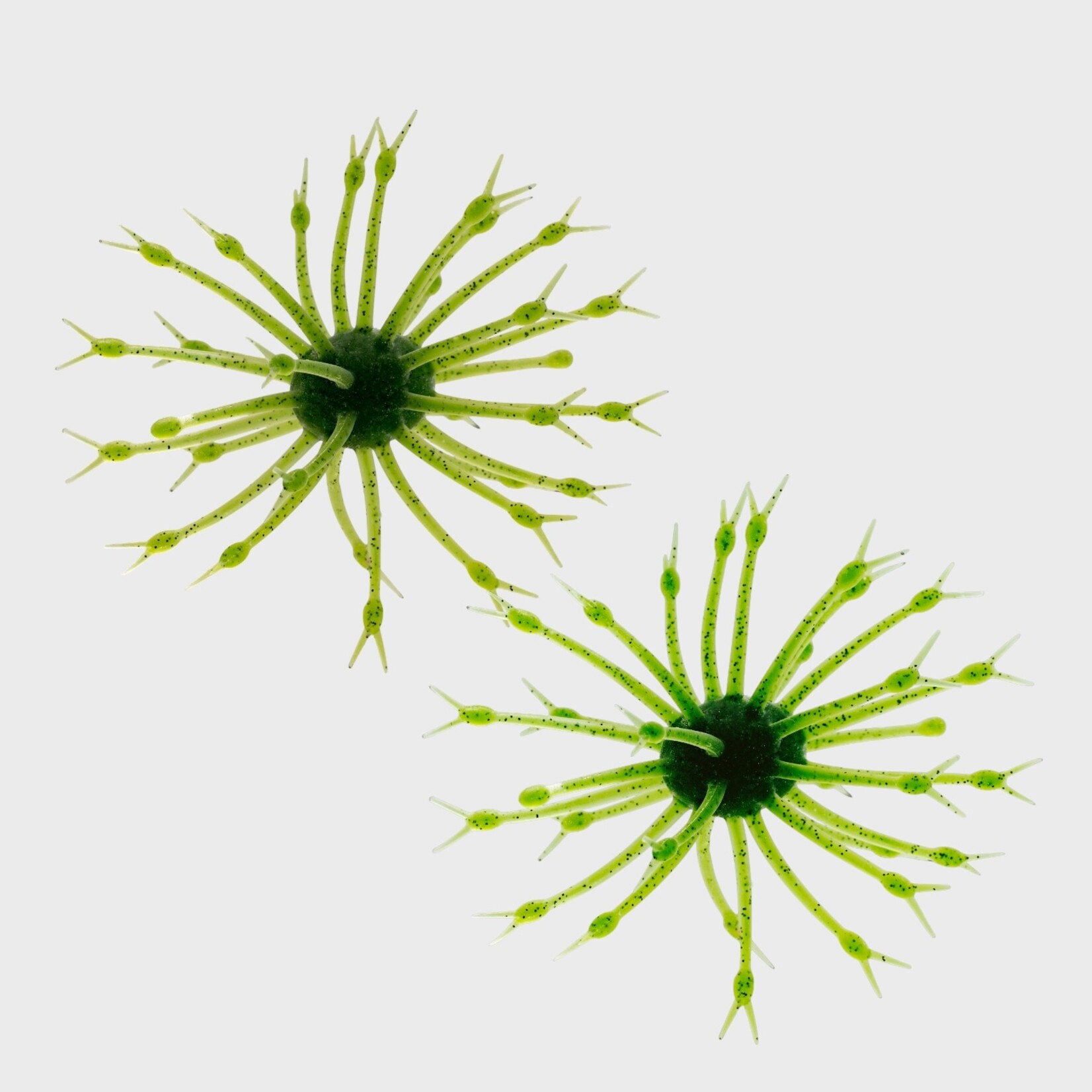 G-Ratt Baits G-Ratt Pop-A-Web Urchin
