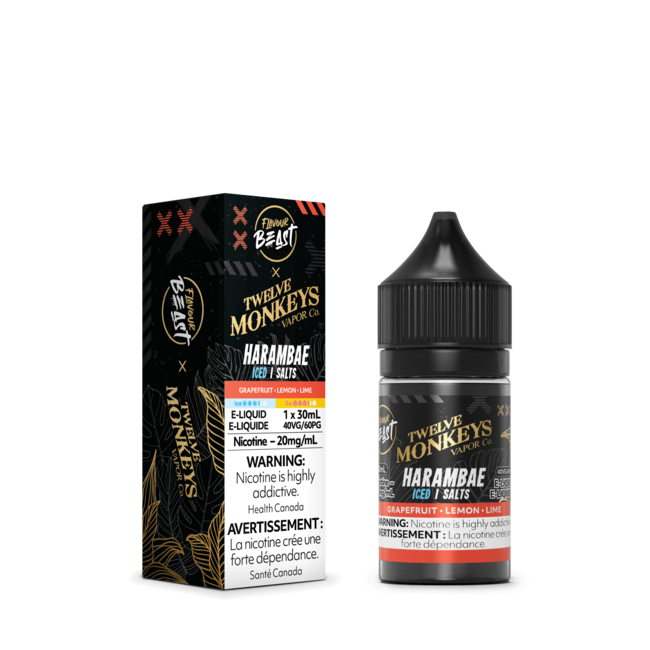 FLAVOUR BEAST X TWELVE MONKEYS SALT (Excise AB Tax Included)