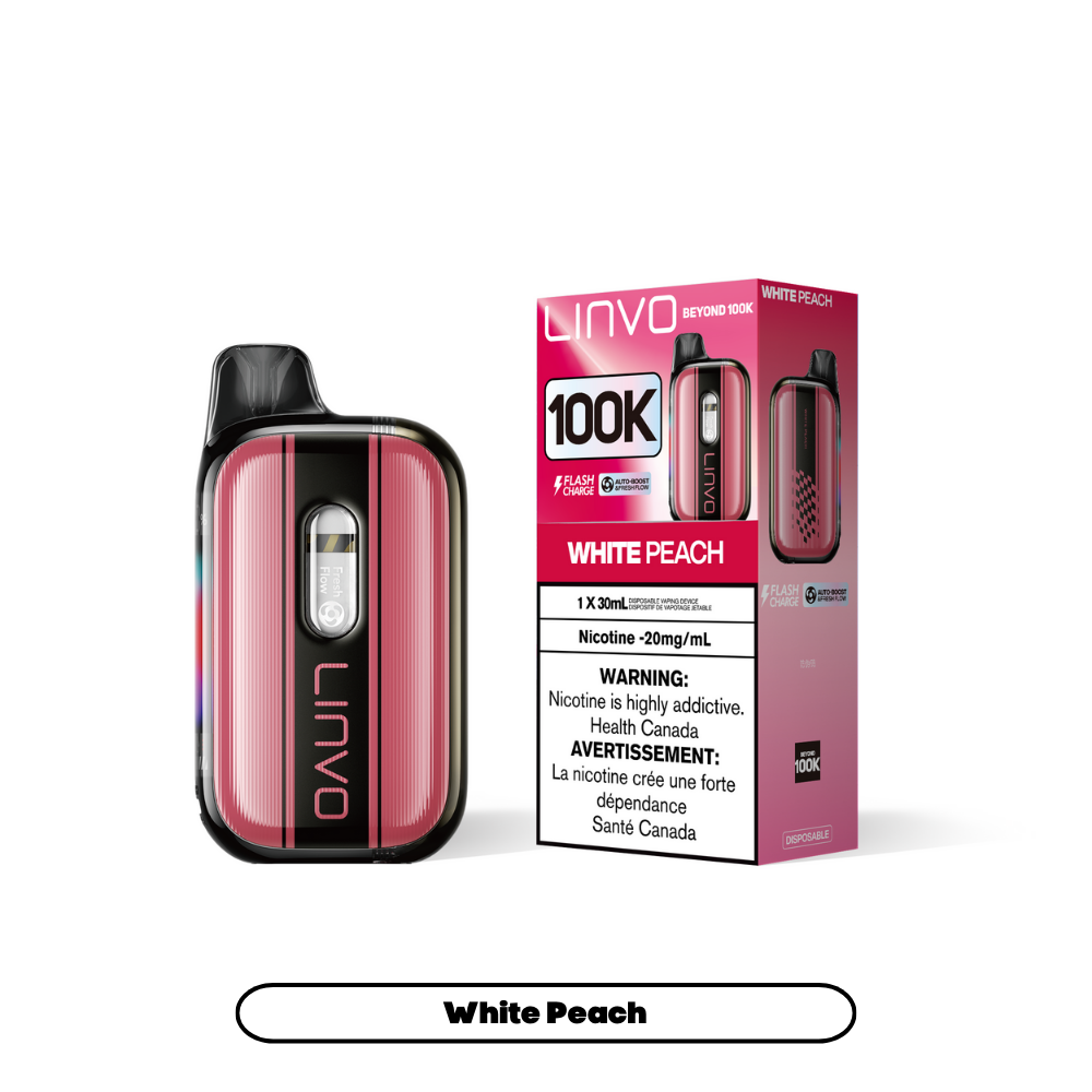 LINVO LINVO Beyond 100K Disposable Vape