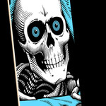 Powell Peralta Powell Peralta Ripper One Off Silver and Blue Complete (7.75")
