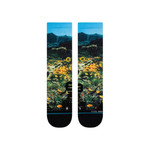 Stance Stance x National Geographic Poppy Trails