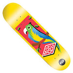 Flip Rabelo Grotto 8.13"
