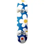 Tricks Skateboards Daisy 7.5" Complete