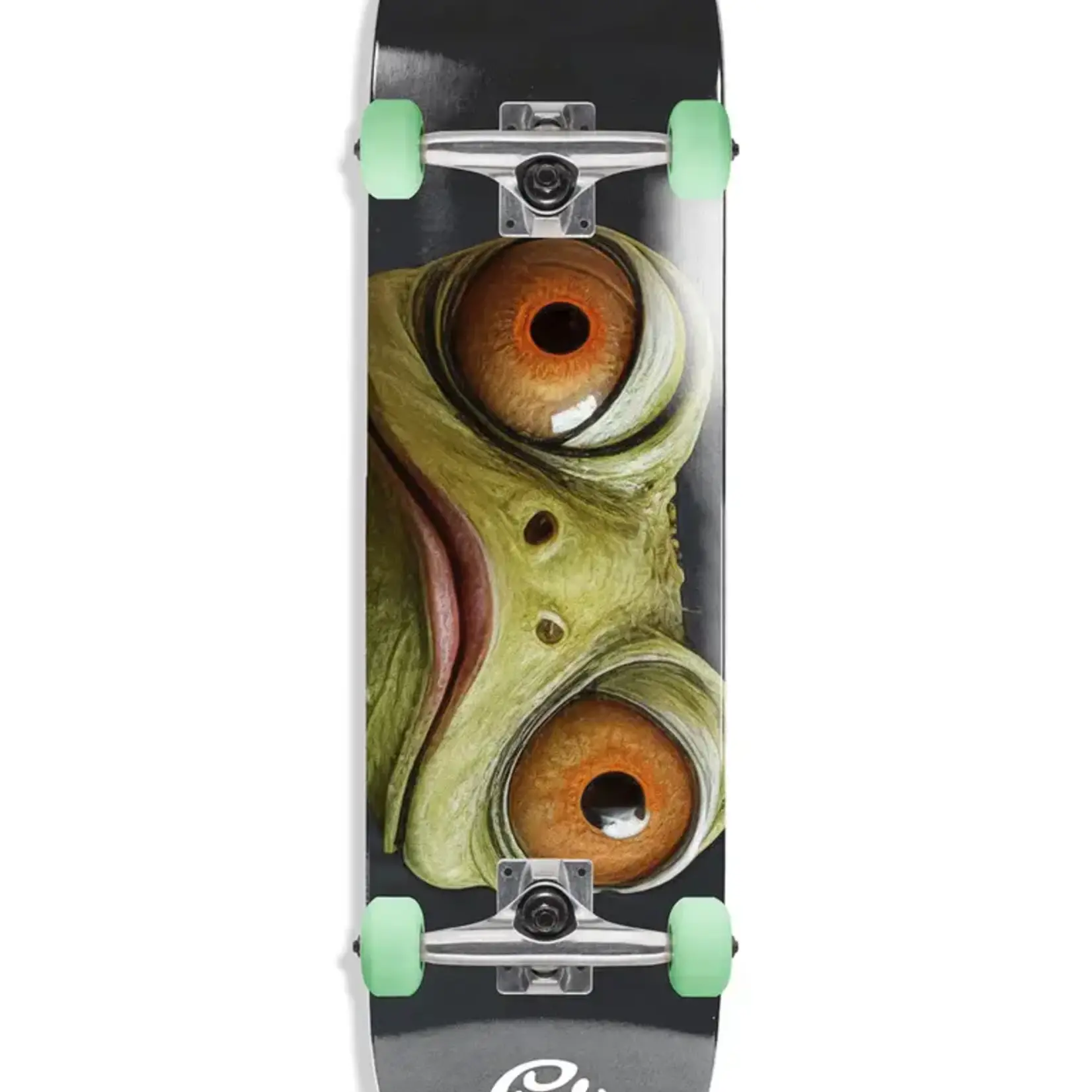 Push Gecko Eyes Complete FP complete (7.5)