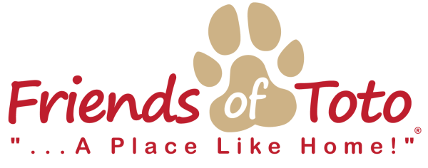 Friends of Toto
