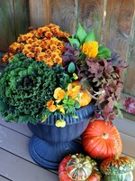 Workshop Fall Porch Planter 9/15 @5:30pm