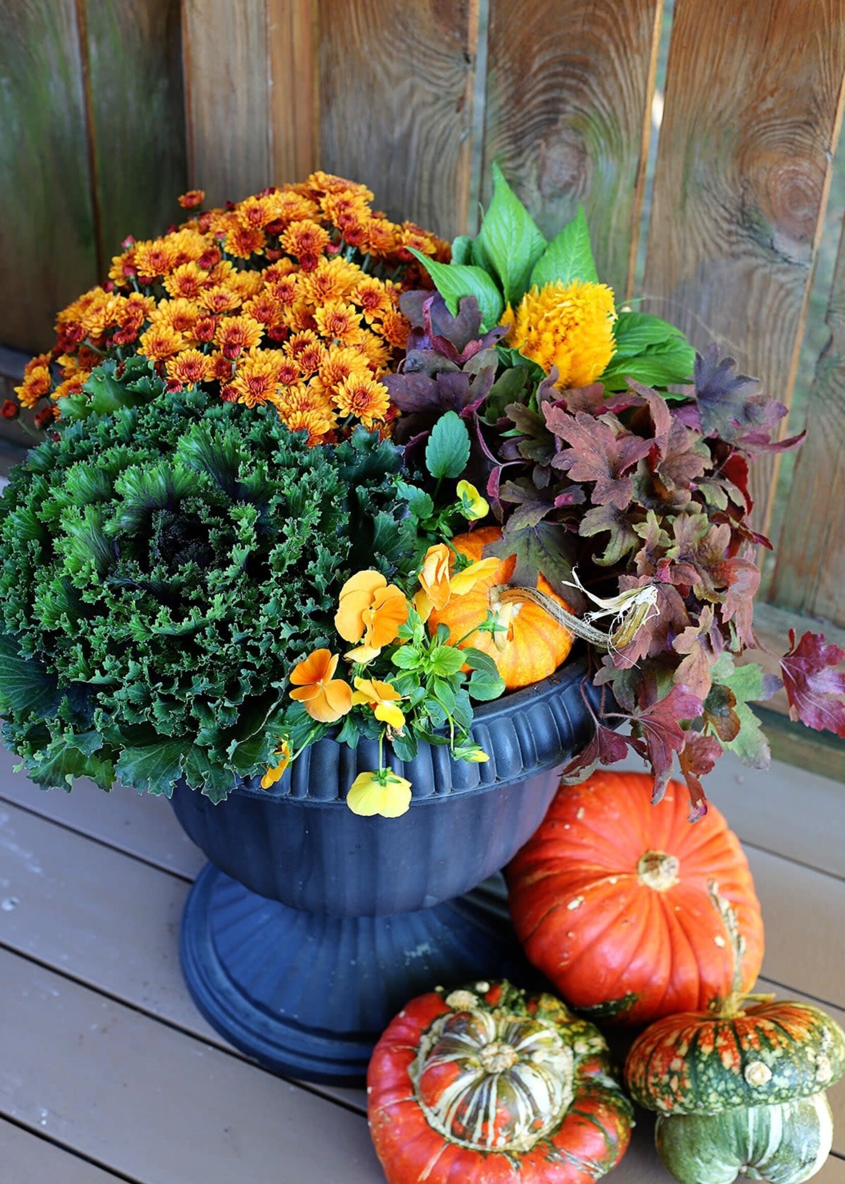 Workshop Fall Porch Planter 9/15 @5:30pm