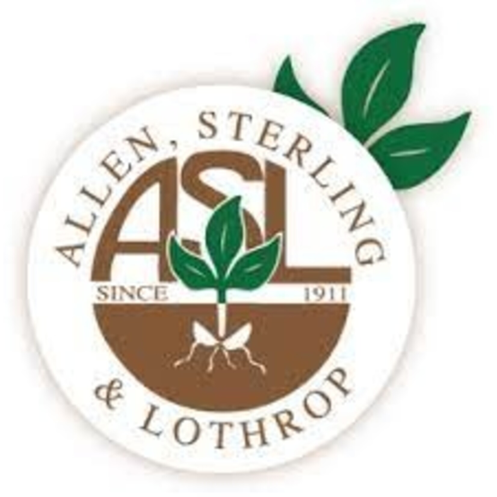 Allen Sterling Lothrop Seed ASL Bean Pencil Pod Black Wax