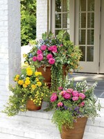 Workshop Porch Planter 5/21 5:30pm