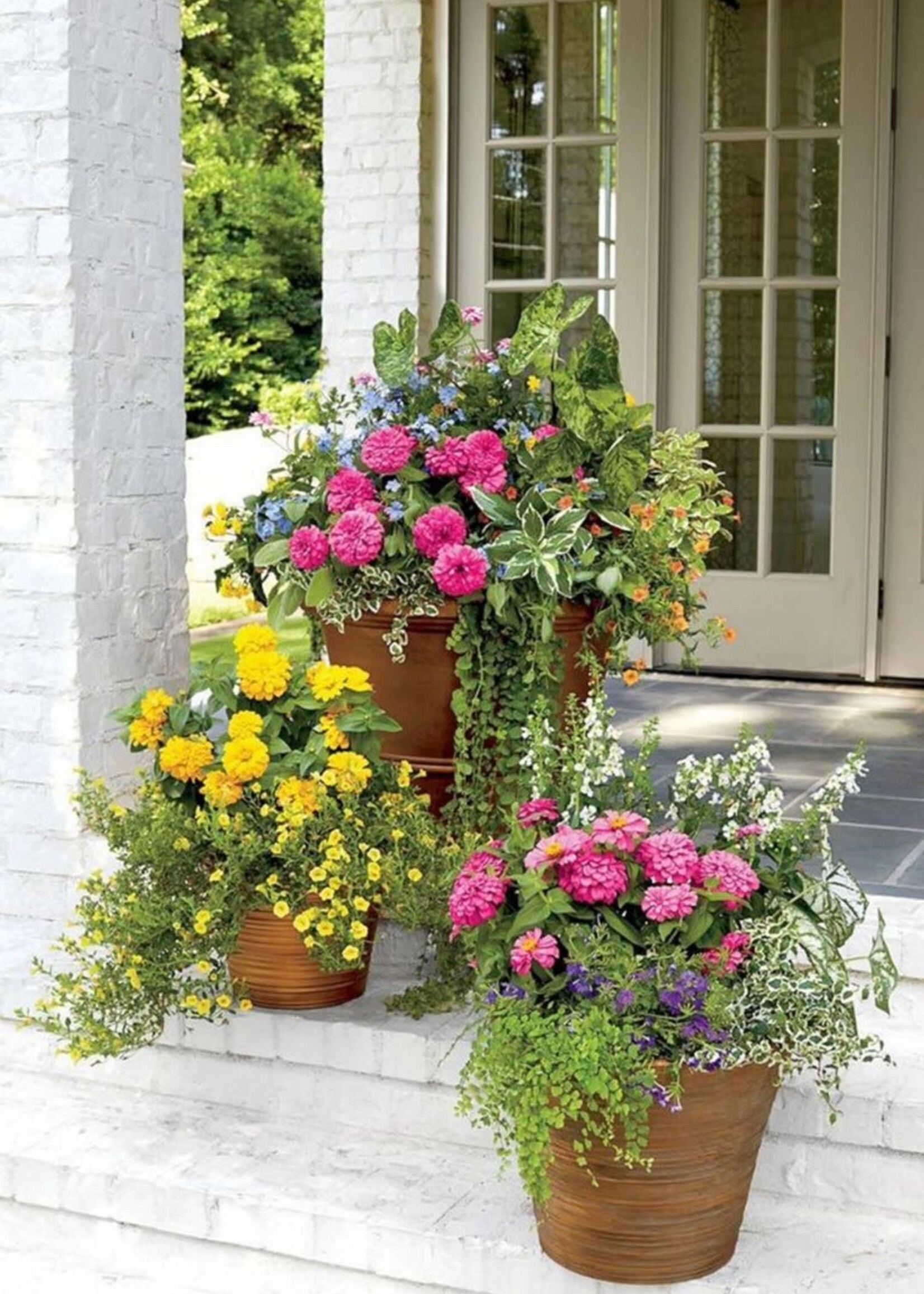Workshop Porch Planter 5/21 5:30pm