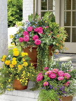 Workshop Porch Planter 5/19 5:30pm