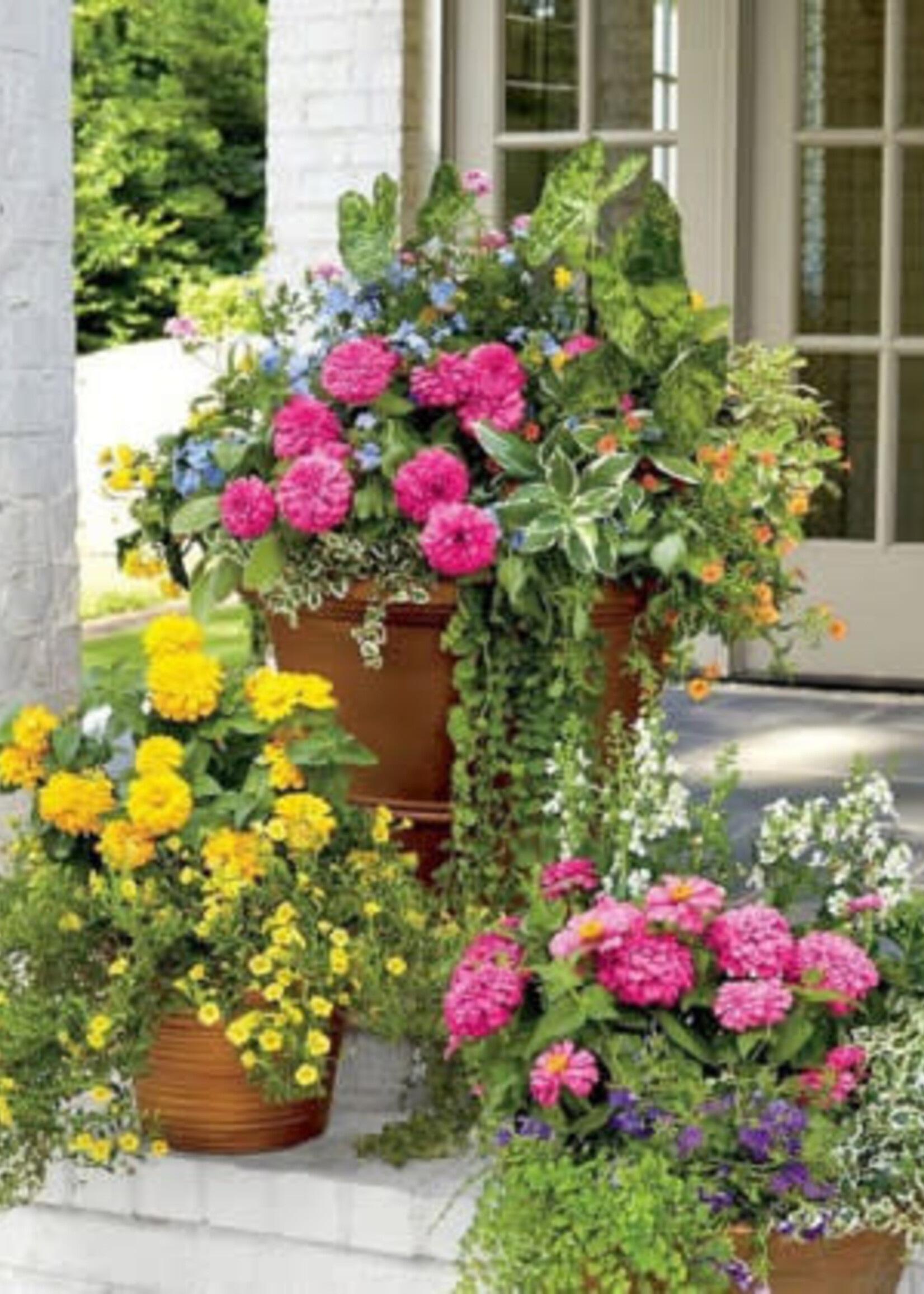 Workshop Porch Planter 5/12 5:30pm