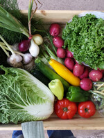 Farm Share - Full
