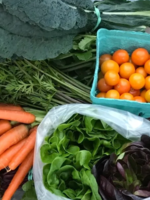 Farm Share - Express
