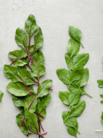 Farm Share - Just Greens (Weekly)