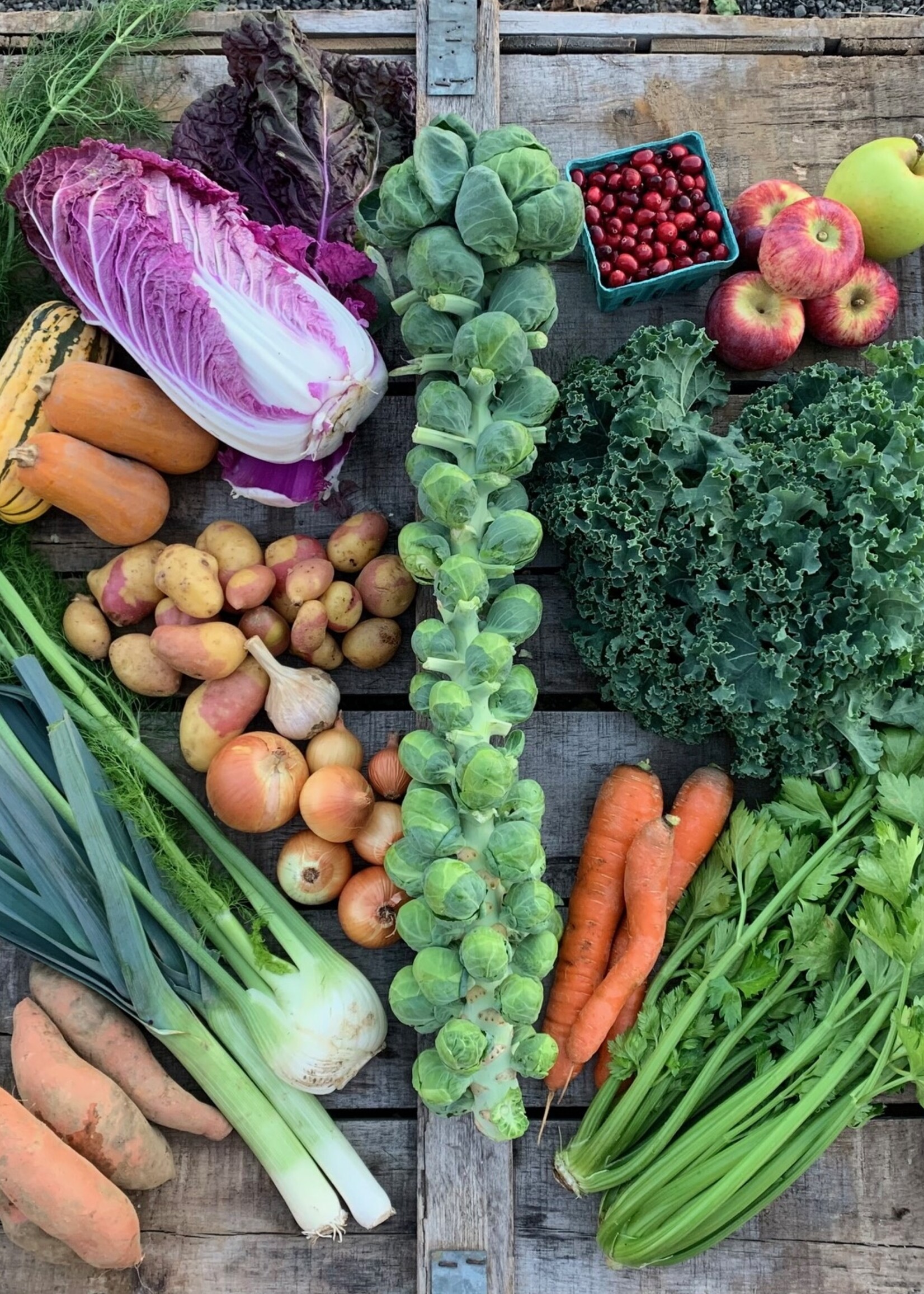 Farm Share - Full (hold the bread)