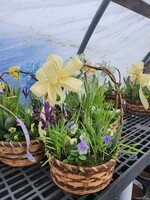 * SOLD OUT* Workshop Planted Spring Basket 3/29 3pm