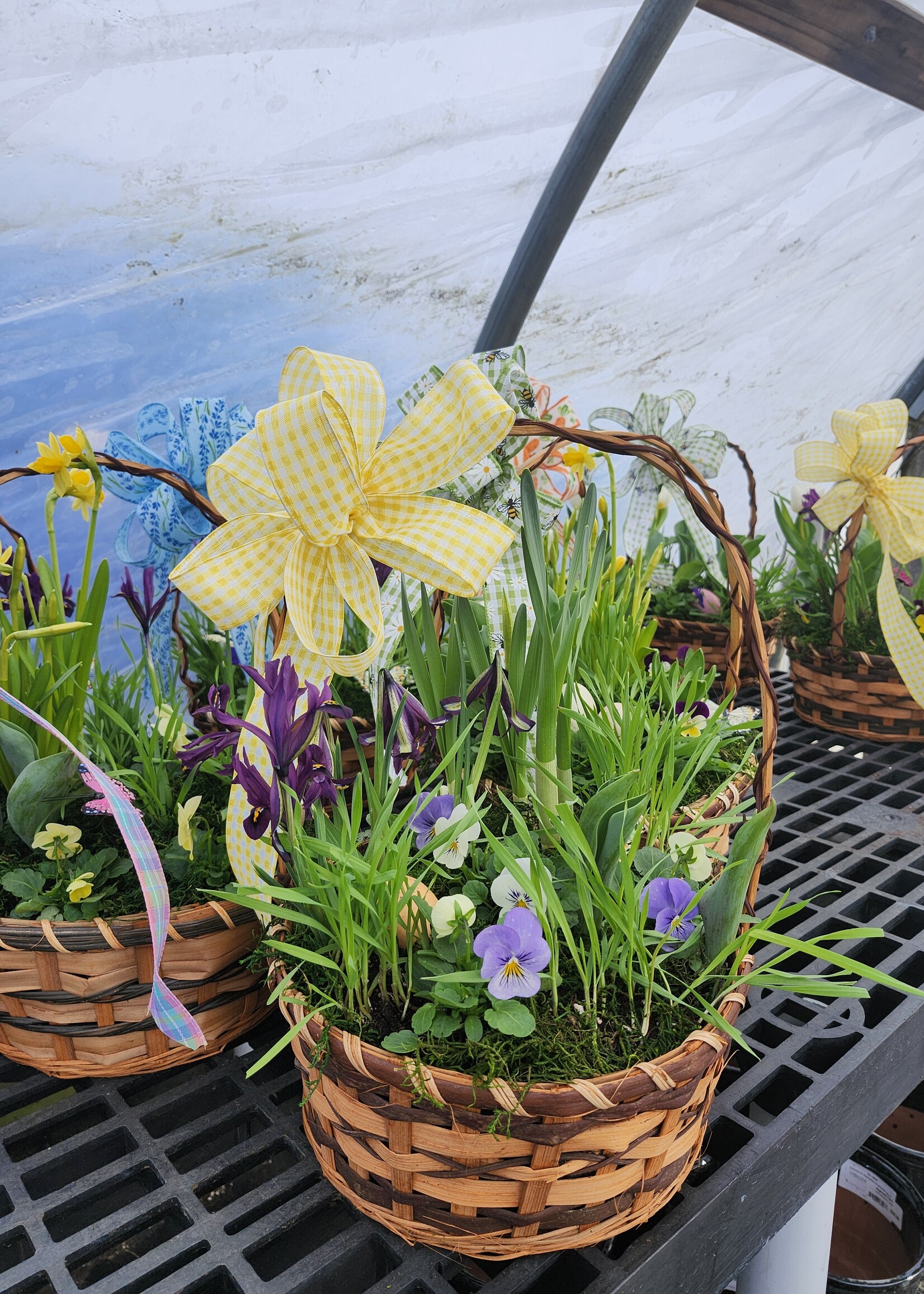 * SOLD OUT* Workshop Planted Spring Basket 3/29 3pm
