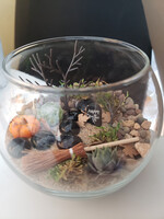 Workshop  Autumn Terrarium 10/4 @11am