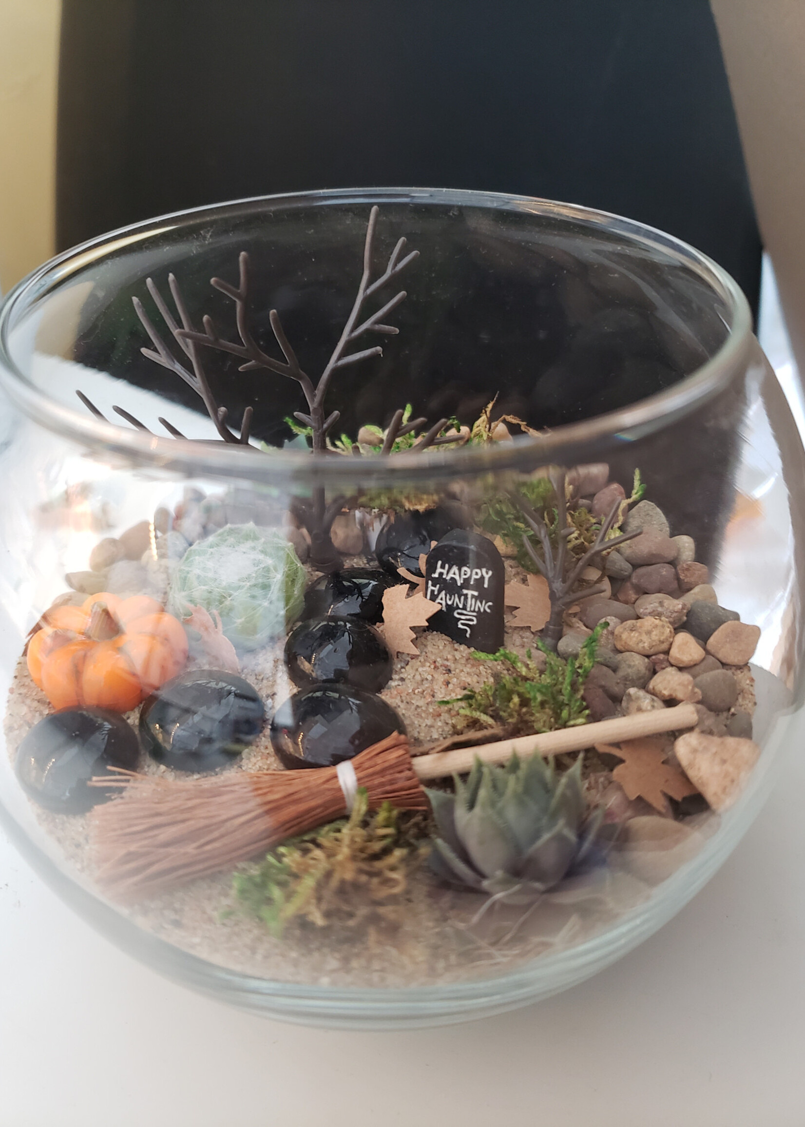 Workshop  Autumn Terrarium 10/4 @11am