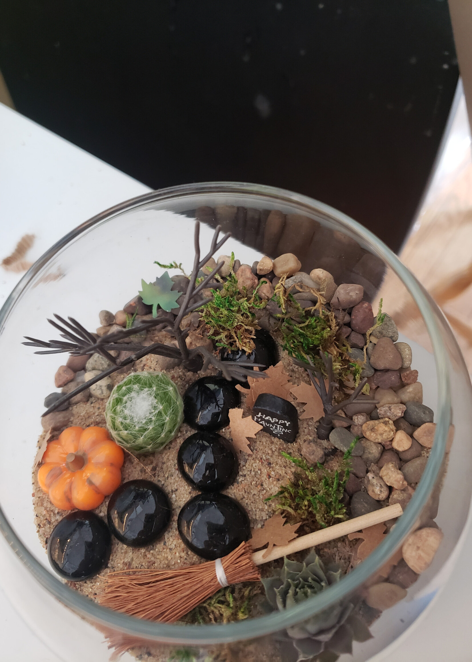 Workshop  Autumn Terrarium 10/4 @11am