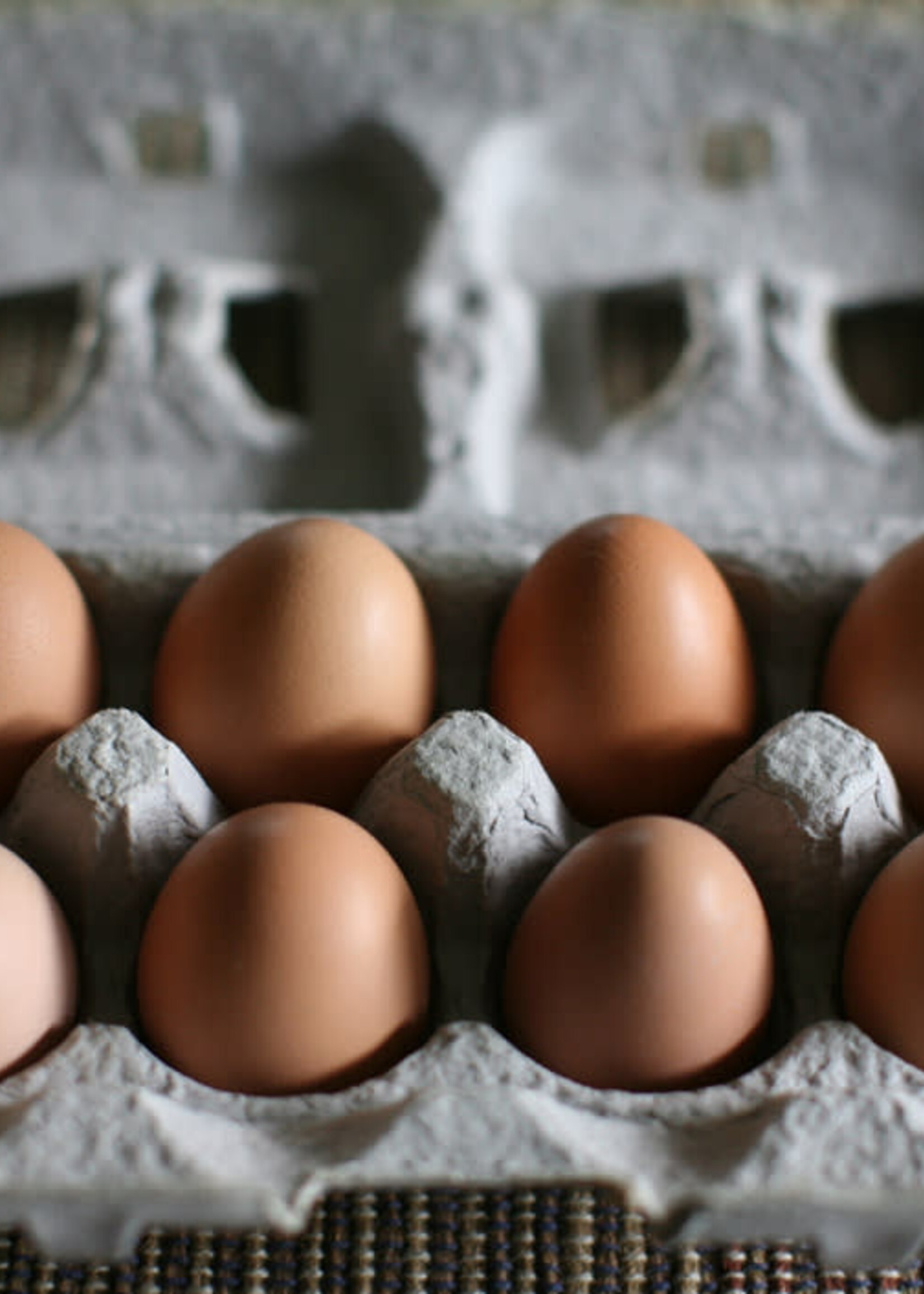 Farm Share Eggs, Half-Dozen (Weekly)