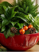 Workshop Holiday Houseplant Arrangement 12/6 3pm