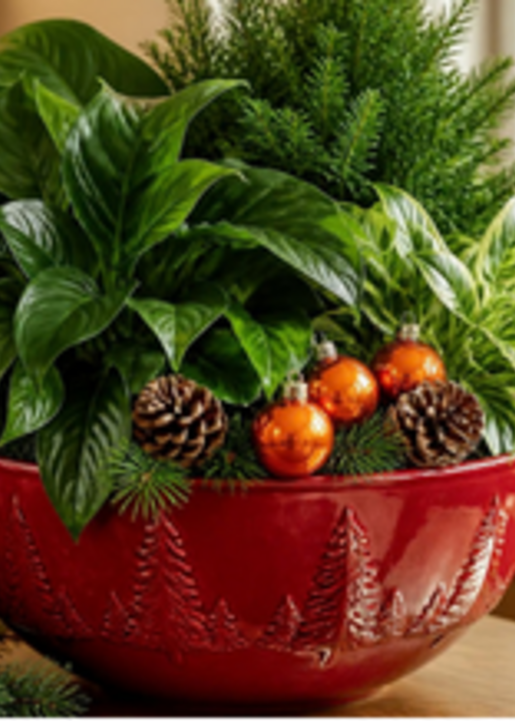Workshop Holiday Houseplant Arrangement 12/6 3pm