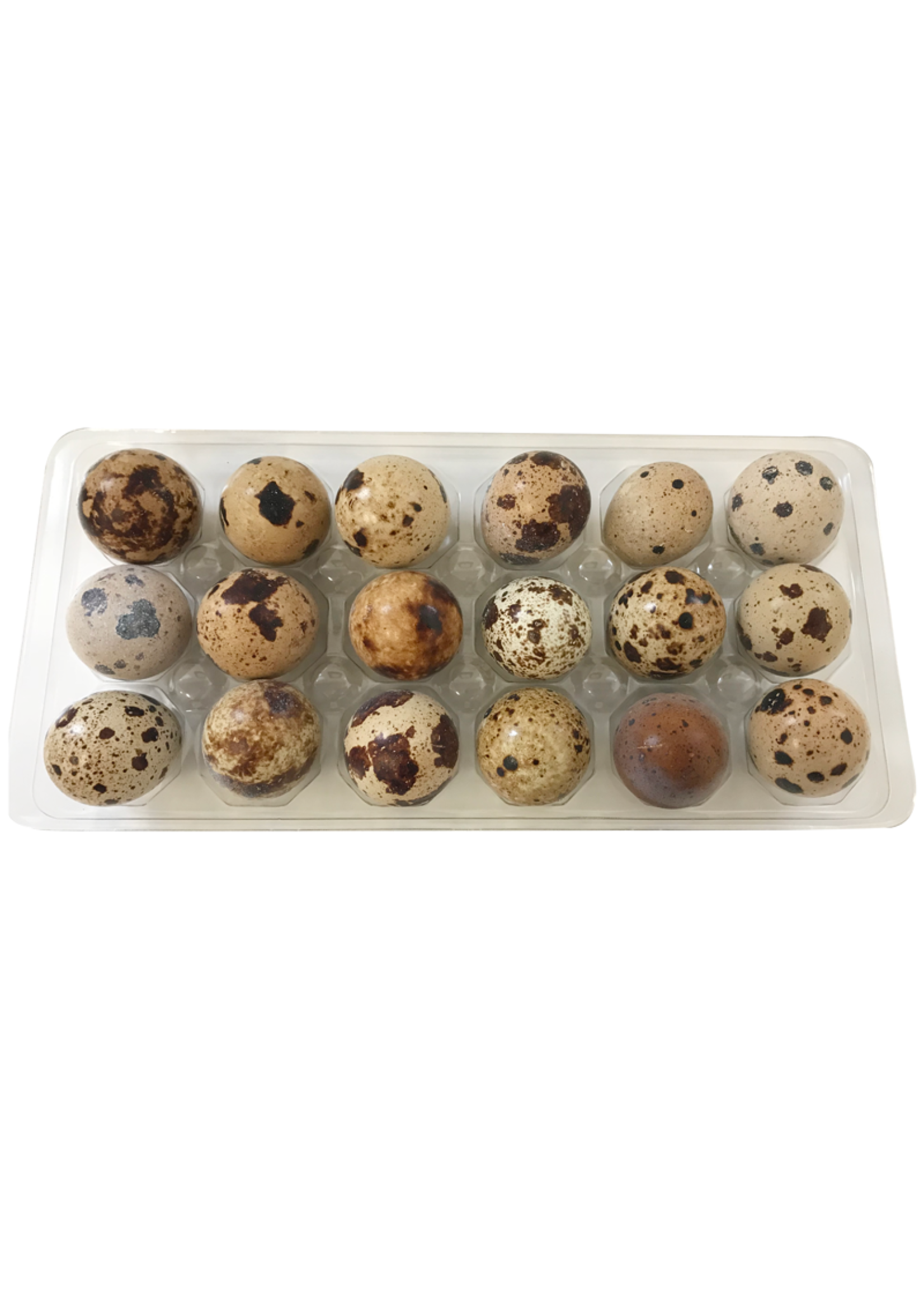 BIG COUNTRY RAW BCR OEUFS DE CAILLE PQT 18