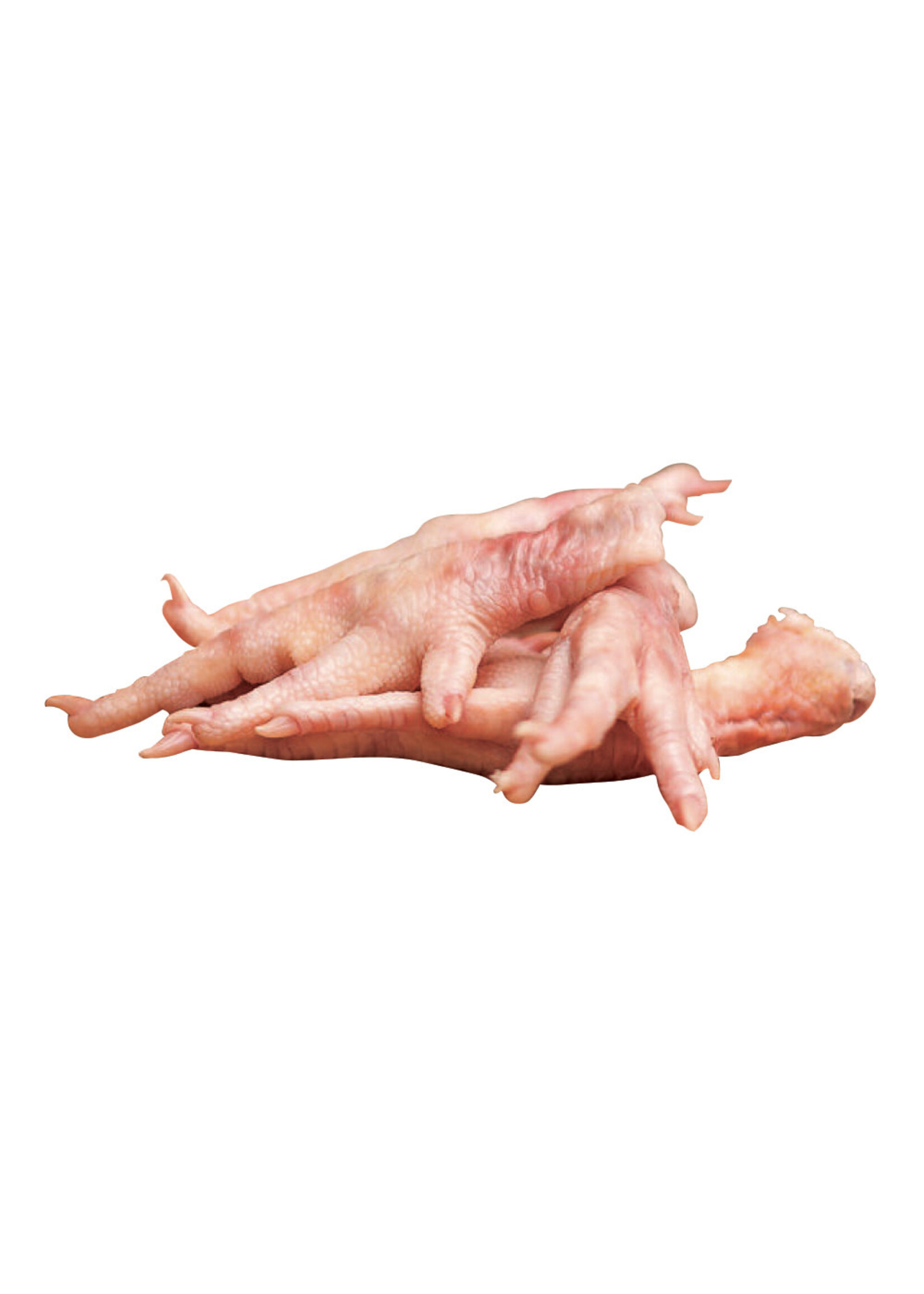 BIG COUNTRY RAW BCR PATTES POULET SAC DE 1 LBS