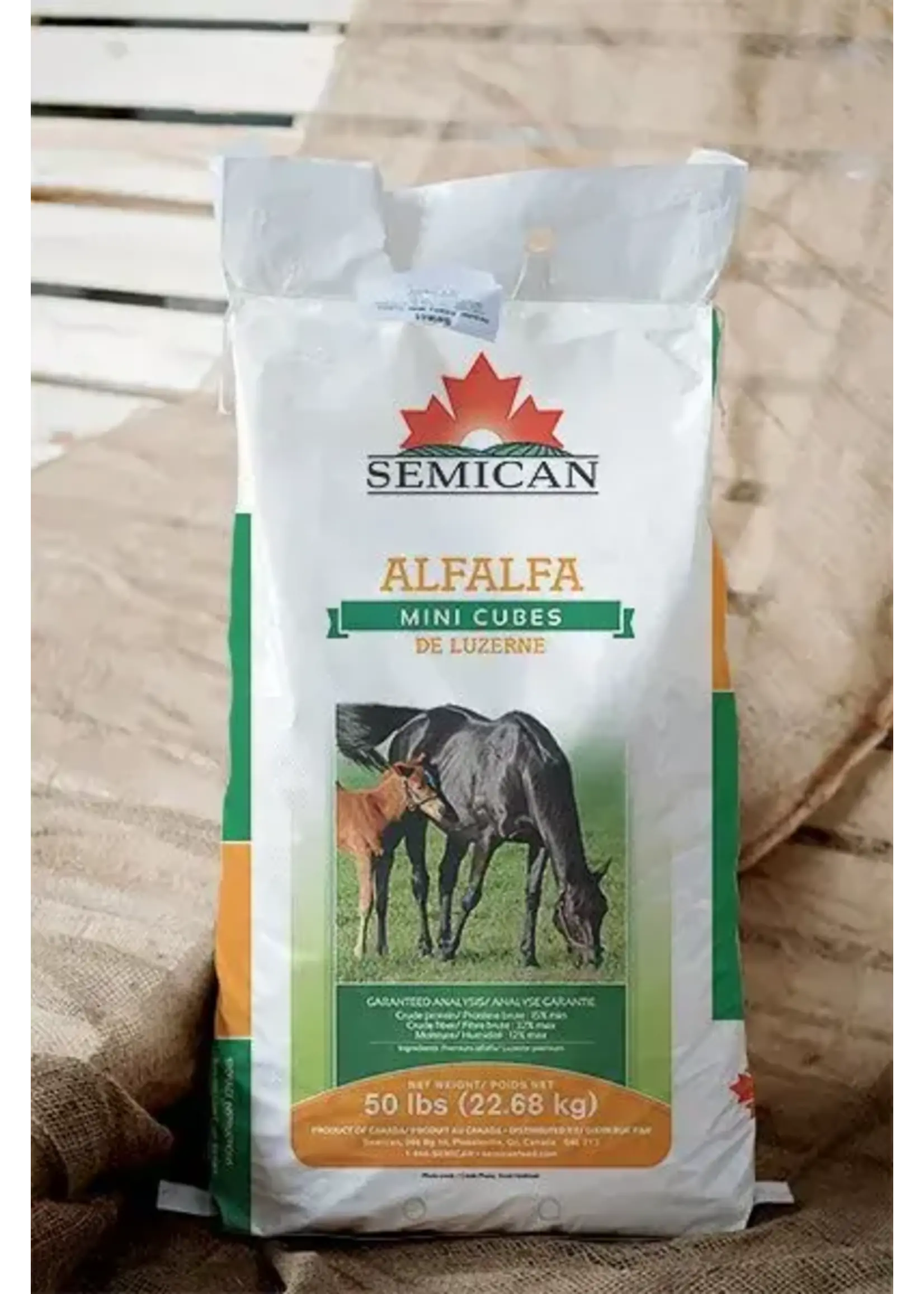SEMICAN 100% LUZERNE EN MINI-CUBE 22.7KG (ALFALFA)
