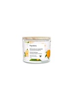 PURODORA LAB PURODORA LAB BOUGIE DE SOYA NEUTRALISANT D'ODEURS D'ANIMAUX CLÉMENTINE ET JASMIN 13 OZ