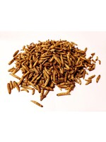 MASKA SELECT MS INSECTES SECHES 2 KG